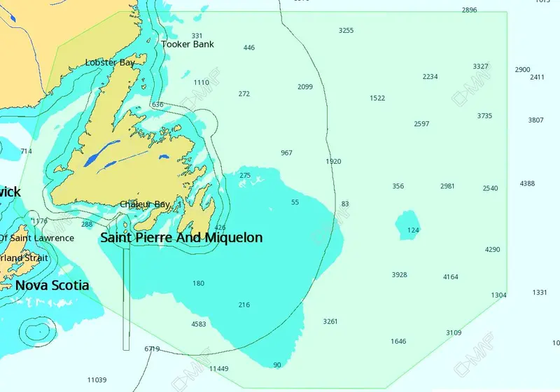 C-Map M-Na-D937 4D Local Newfoundland 1