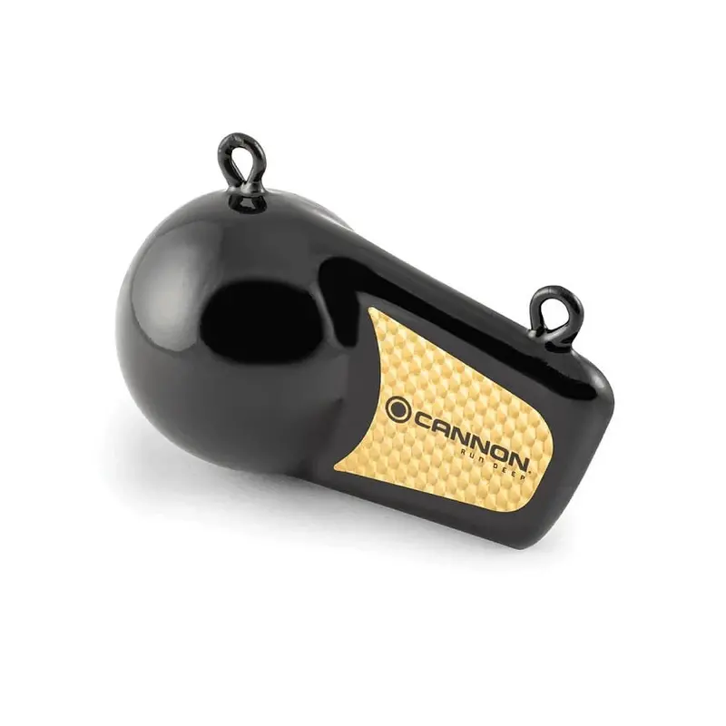 Cannon 10 Pound Flash Weight 1