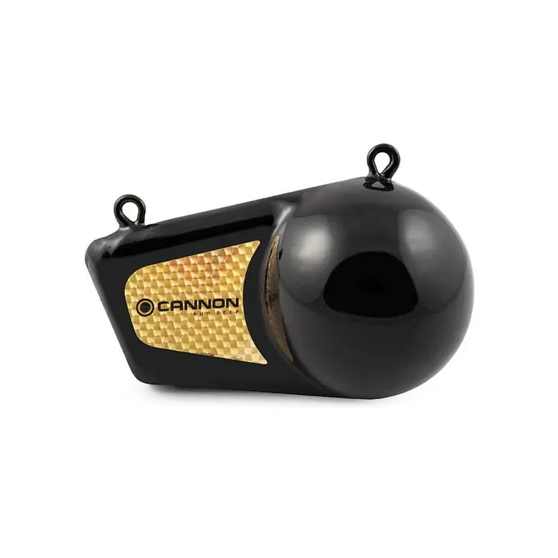 Cannon 12 Pound Flash Weight 1