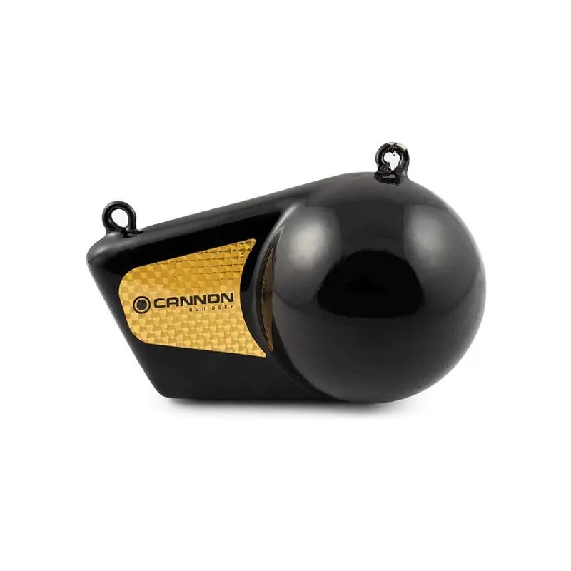 Cannon 16 Pound Flash Weight 1