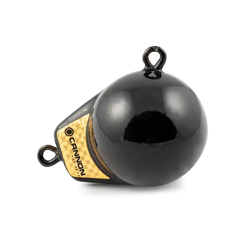 Cannon 6 Pound Flash Weight 1