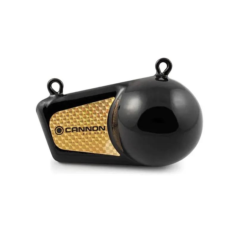 Cannon 8 Pound Flash Weight 1