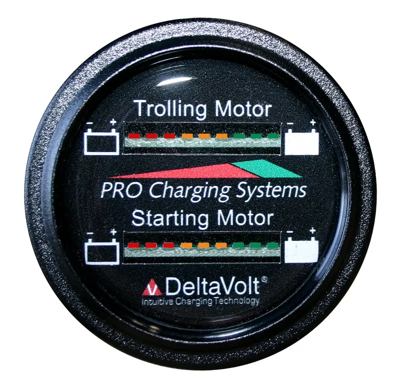 Dual Pro Battery Fuel Gauge For 2 - 12V Systems 1