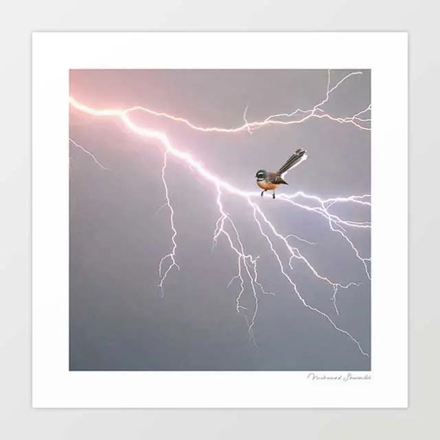 'Fantail On Lightning Bolt' Art Print By Vertigo Artography | Surreal Bird Lightning Bolt Wall Art 1