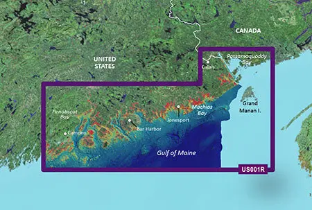 Garmin Vus001r G3 Vision North Maine 1