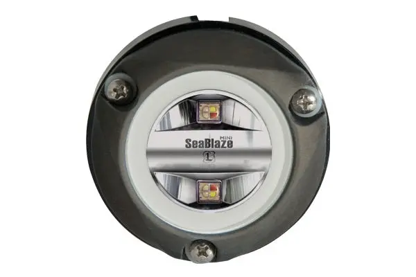 Lumitec Zambezi Mini Spectrum Pli Rgbw For Pontoon Boats Anodized Aluminum 12/24V 1