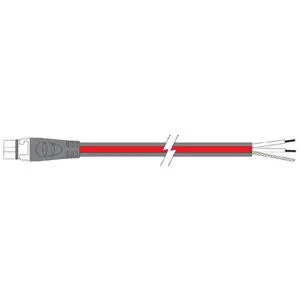 Raymarine A06049 Seatalkng Power Cable 1