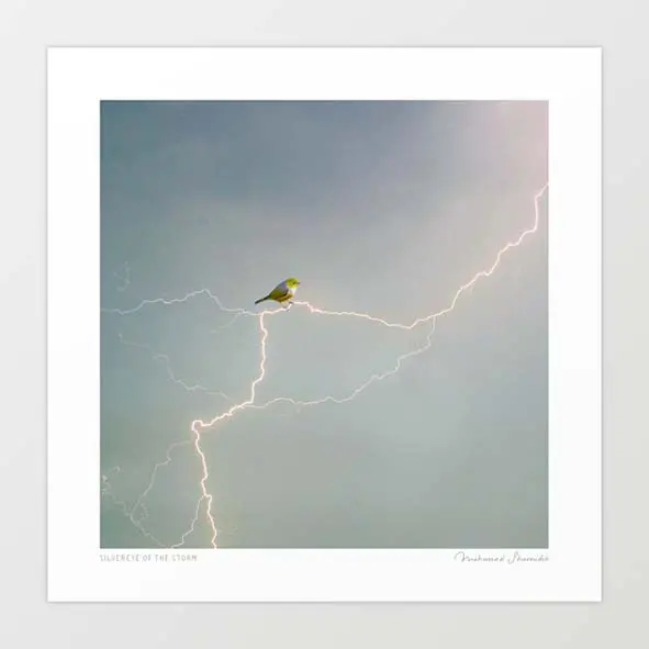 'Silvereye Of The Storm' Art Print By Vertigo Artography | Surreal Bird Lightning Storm Wall Art 1