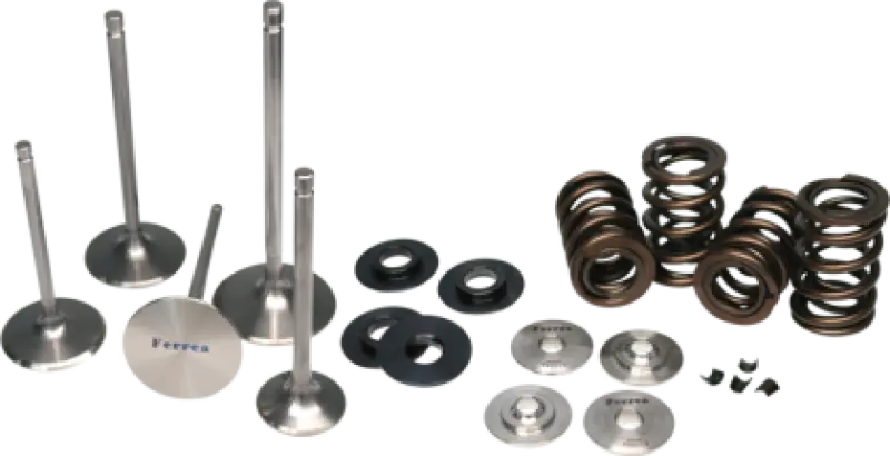 Ferrea Valve Spring Kit For 2001–2008 Kawasaki Klx400 And Kfx400 Atv Models 1