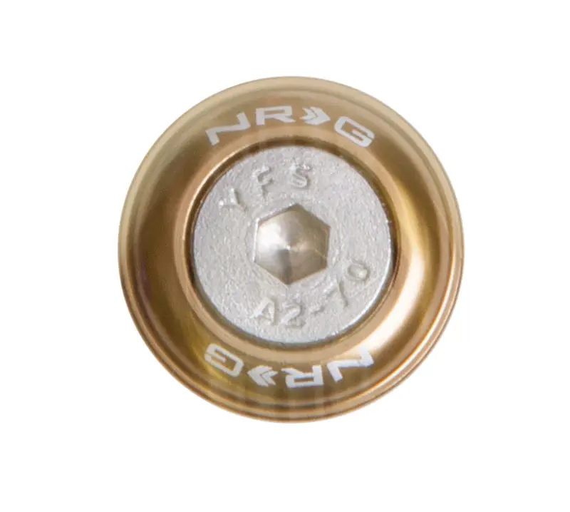 Nrg Titanium Fender Washer Kit With Rivets – Metal-Focused, 10-Piece Set 1